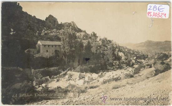 Postkarten: (PS-10324)POSTAL FOTOGRAFICA DE LA RIBA(TARRAGONA)-CRIADER DE FRUITES
