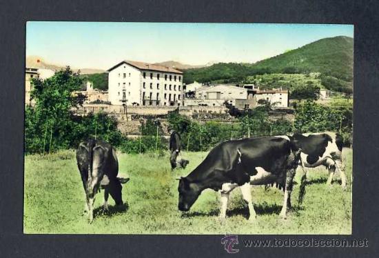 Postales: Postal de MA&Ccedil;ANET DE CABRENYS (Girona): Vista parcial (Lab.Jori num.104)