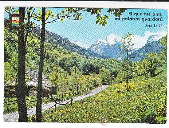 Postales: 5269 PIRINEU CATALA. VALL D&acute;ARAN CAM&Iacute; DE L&acute;ARTIGA DE LIN