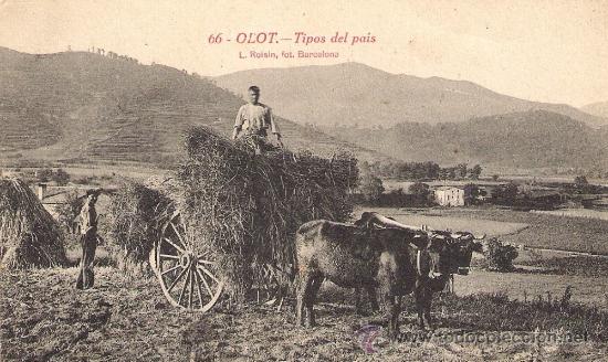 Postales: OLOT -ROISIN N66 - Foto 1