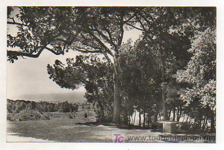 Postales: TARADELL. PINEDA DE LES TORRES. - Foto 1