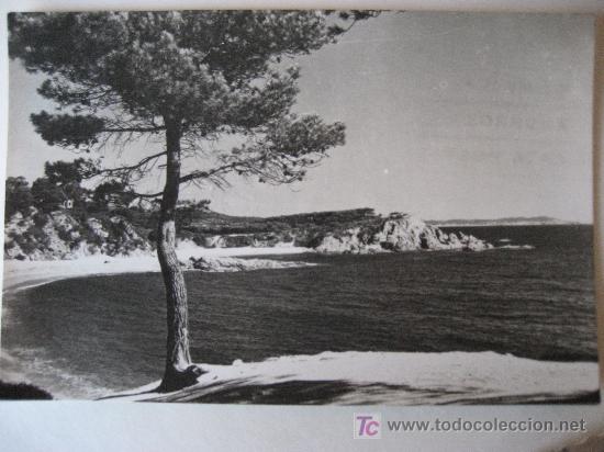 Postales: Playa de Aro. Vista Cala Sa Conca. N&ordf;  2067. Circulada