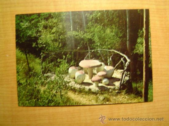 Postales: POSTAL SOLSONA PARQUE MARE DE LA FONT BOLETS  SIN CIRCULAR - Foto 1