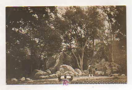 Postcards: LA VIOLA D'OR. TEATRE DE NATURALESA. LA GARRIGA. (FOT. E R) FOTOGR&Aacute;FICA.