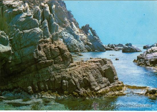 Postales: LLORET DE MAR (GIRONA) - PUNTA CALAFATA - Foto 1