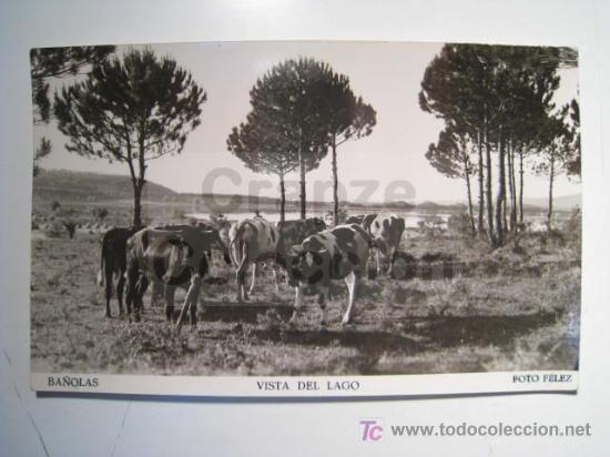 Postales: BA&Ntilde;OLAS: VISTA DEL LAGO (FELEZ) POSTAL - Foto 1
