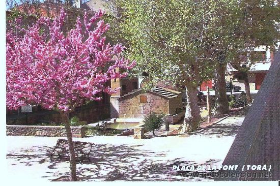 Postales: POSTAL DE TOR&Agrave; (LLEIDA) PLA&Ccedil;A DE LA FONT - Foto 1