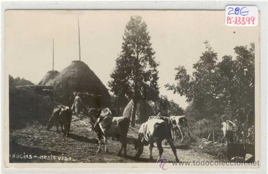 Postkarten: (PS-13399)POSTAL FOTOGRAFICA DE ARBUCIAS-MASIA VIDAL