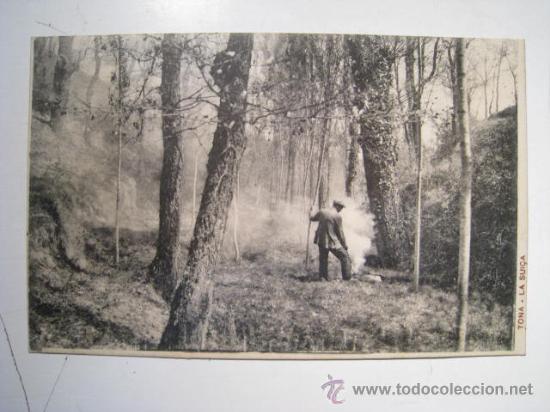 Postales: TONA: LA SUI&Ccedil;A. POSTAL ORIGINAL - Foto 1