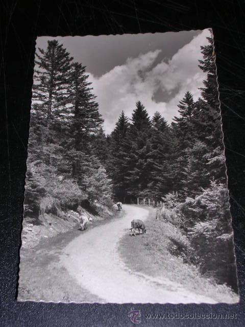 Postales: 357 VALLE DE ARAN ( LERIDA ) CARRETERA DE ACCESO AL PORTILLON