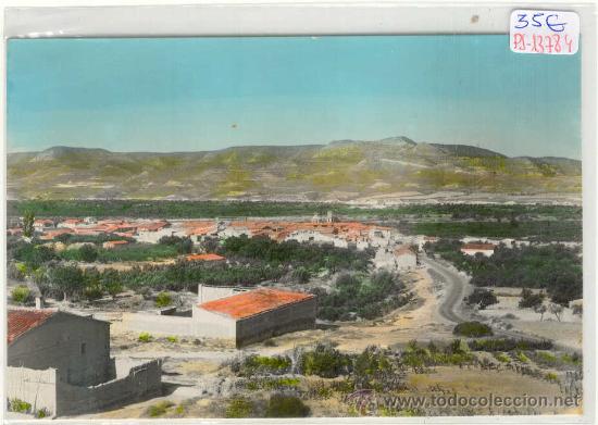 Postales: (PS-13784)POSTAL DE MASALCOREIG(LLEIDA)-VISTA GENERAL