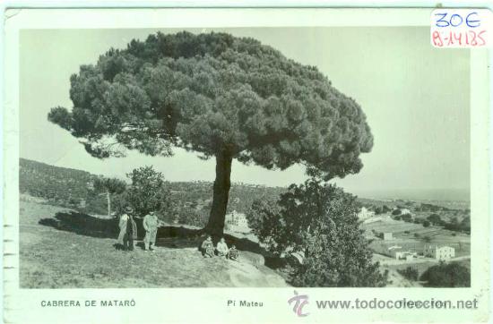 Postcards: (PS-14185)POSTAL FOTOGRAFICA DE CABRERA DE MATARO-PI MATEU