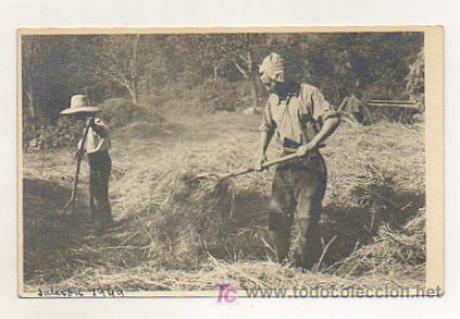 Postales: VALL DARAN. VALLE DE ARAN. SALARD&Uacute;. FEINES DEL CAMP. 1949. (POSTAL FOTOGR&Aacute;FICA)