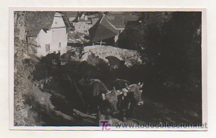 Postales: VALL D'ARAN. VALLE DE ARAN. SALARD&Uacute;. CARRETA DE BUEYES. 1949.