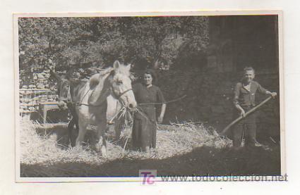 Postkarten: VALL D'ARAN. VALLE DE ARAN. SALARD&Uacute;. FEINES DEL CAMP. 1949.