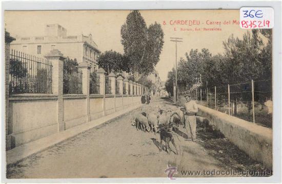 Postkarten: (PS-15219)POSTAL DE CARDEDEU-CARRER DEL MOLI