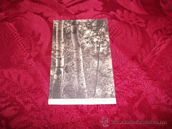 Cartes Postales: Viladrau casa pairal d'en Nogue,LRoisin fotografo-Barcelona