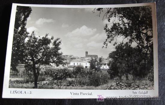 Postales: LI&Ntilde;OLA. VISTA PARCIAL - Foto 1