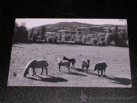 Postales: PRULLANS ( CERDA&Ntilde;A ) - Foto 1