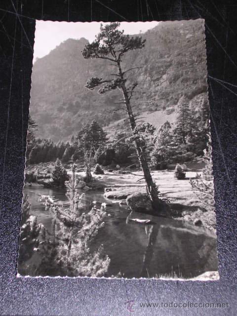 Postales: 220 VALLE DE BOHI ( LERIDA )  BOSQUE Y LEYENDA SOBRE AGUAS TRANQUILAS