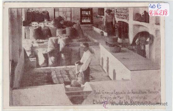 Postcards: (PS-16218)POSTAL DE ARENYS DE MAR-REAL GRANJA ESCUELA DE AVICULTURA PARAISO.ELABORACION DE LA PARAIS