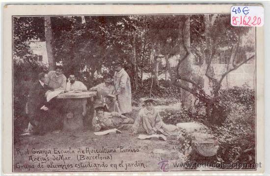Postcards: (PS-16220)POSTAL DE ARENYS DE MAR-REAL GRANJA ESCUELA DE AVICULTURA PARAISO.GRUPO DE ALUMNOS