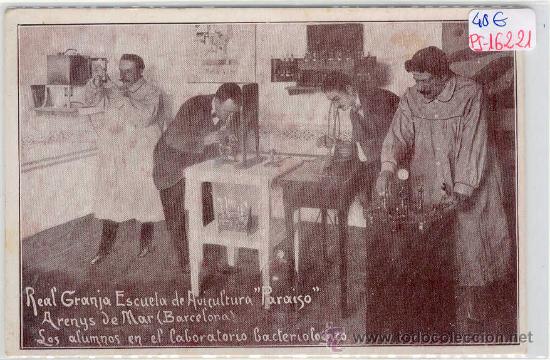 Postcards: (PS-16221)POSTAL DE ARENYS DE MAR-REAL GRANJA ESCUELA DE AVICULTURA PARAISO.LOS ALUMNOS EN EL LABORA
