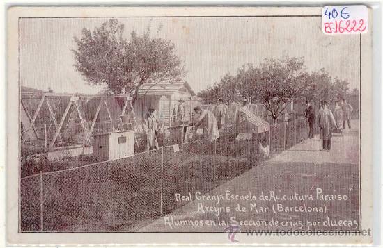 Postkarten: (PS-16222)POSTAL DE ARENYS DE MAR-REAL GRANJA ESCUELA DE AVICULTURA PARAISO.ALUMNOS EN LA SECCION DE