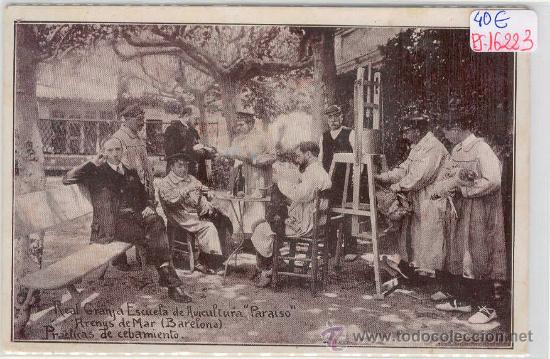 Postcards: (PS-16223)POSTAL DE ARENYS DE MAR-REAL GRANJA ESCUELA DE AVICULTURA PARAISO.PRACTICAS DE CEBAMIENTO