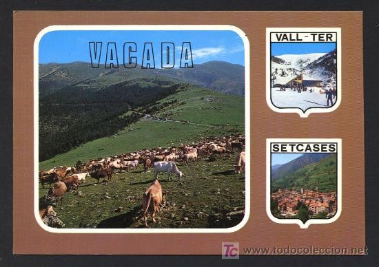 Postales: Setcases. *Vacada. Vall-Ter. Setcases* Sin datos editor n&ordm; 1412-E. Nueva. - Foto 1