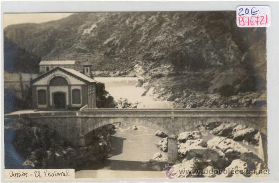 Postkarten: (PS-16721)POSTAL FOTOGRAFICA DE AMER-EL PASTERAL