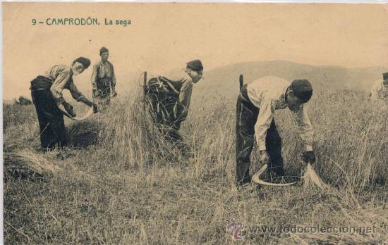 Postales: CAMPROD&Oacute;N (GERONA).- LA SEGA - Foto 1