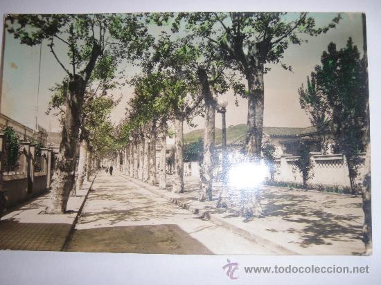 Postales: Pineda de Mar -5 - Foto 1