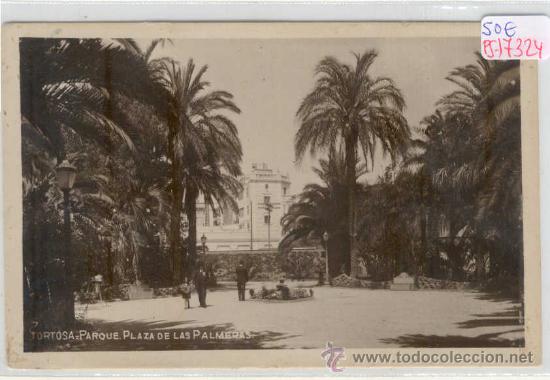 Postkarten: (PS-17324)POSTAL FOTOGRAFICA DE TORTOSA(TARRAGONA)-PARQUE PLAZA DE LAS PALMERAS