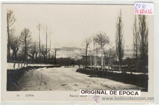 Postcards: (PS-17436)POSTAL FOTOGRAFICA DE LLIVIA-PAISATJE NEVAT