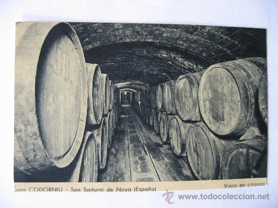 Postales: ANTIGUA POSTAL SIN CIRCULAR,CASA CODORNIU,SAN SADURNI DE NOYA.VINOS EN CRIANZA.