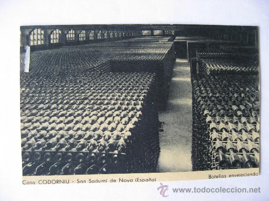 Postales: ANTIGUA POSTAL SIN CIRCULAR,CASA CODORNIU,SAN SADURNI DE NOYA.BOTELLAS ENVEJECIENDO.