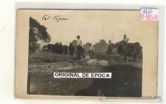 Postkarten: (PS-18020)POSTAL FOTOGRAFICA DE BLANES-LABORES DEL CAMPO A&Ntilde;O 1924