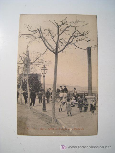 Postales: ARBOS: MIRANDA DE LA BADALOTA - POSTAL - Foto 1