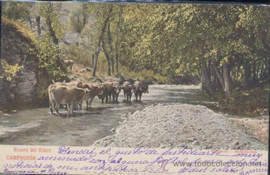 Postales: CAMPRODON (GERONA).- RIVERA DEL RITORT - Foto 1