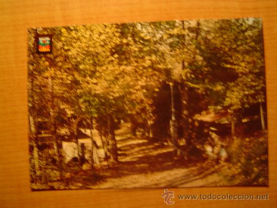 Postales: POSTAL RIPOLL FONT DEL SANT SIN CIRCULAR - Foto 1