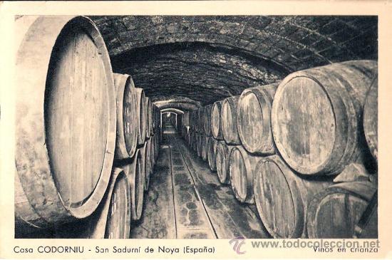 Postkarten: TARJETA POSTAL DE LAS BODEGAS CODORNUI. SAN SADURNI DE NOYA, VINOS EN CRIANZA.