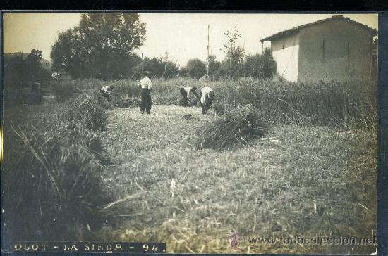 Postales: TARJETA POSTAL OLOT, GERONA. LA SIEGA - Foto 1