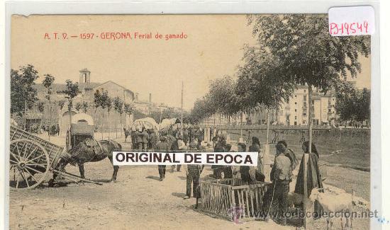 Postcards: (PS-19549)POSTAL DE GERONA-FERIAL DE GANADO