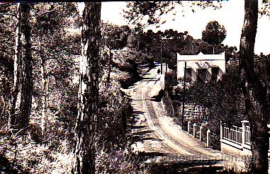 Cartoline: POSTAL FOTOGRAFICA LA FLORESTA PEARSON CAMINO DEL PUENTE DEL DIARIO
