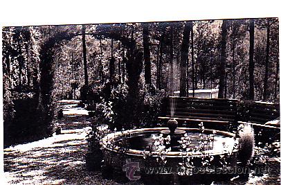 Cartoline: POSTAL FOTOGRAFICA LA FLORESTA DETALLE DE UN JARDIN