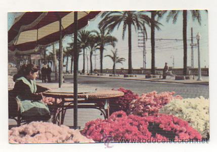 Postcards: VILASAR DE MAR. STAND DE FLORIMAR.
