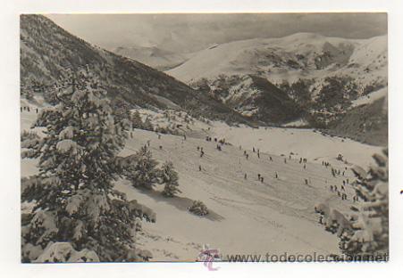 Postales: PIRINEOS ORIENTALES. LA MOLINA. ALTA CERDA&Ntilde;A. PISTA LARGA. AL FONDO COMABELLA Y PUIG D'ALP.