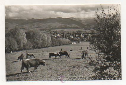 Postkarten: PUIGCERDA. CERDA&Ntilde;A FRANCESA. (FOTO GUILERA).
