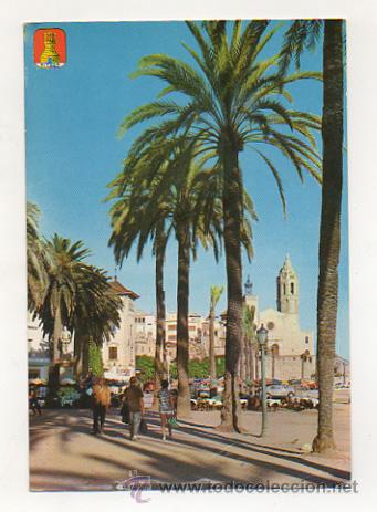 Postales: SITGES. PALMERA DEL PASEO. - Foto 1